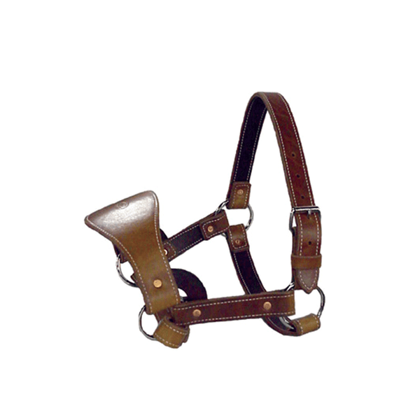 Leather Bronc Halter by Saddle Barn