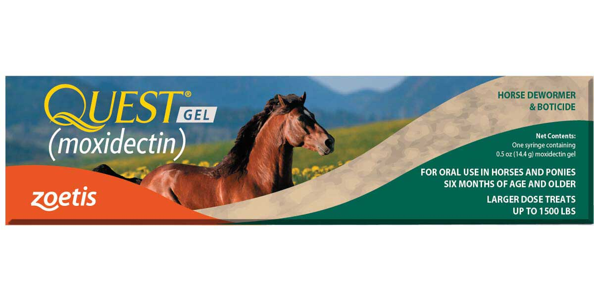 Quest Equine Gel Dewormer by Zoetis